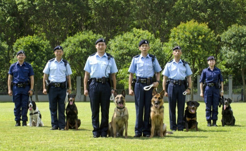 「汪汪拯救隊」警犬隊訓練學校參觀