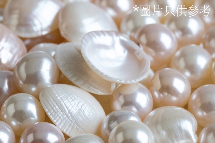 宋錦珍珠畫
