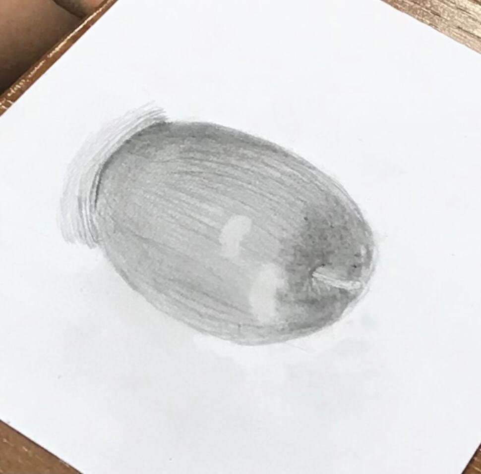 入門基礎素描班2026