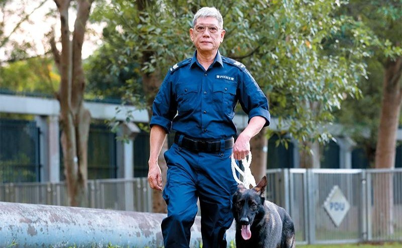 汪汪隊立大功