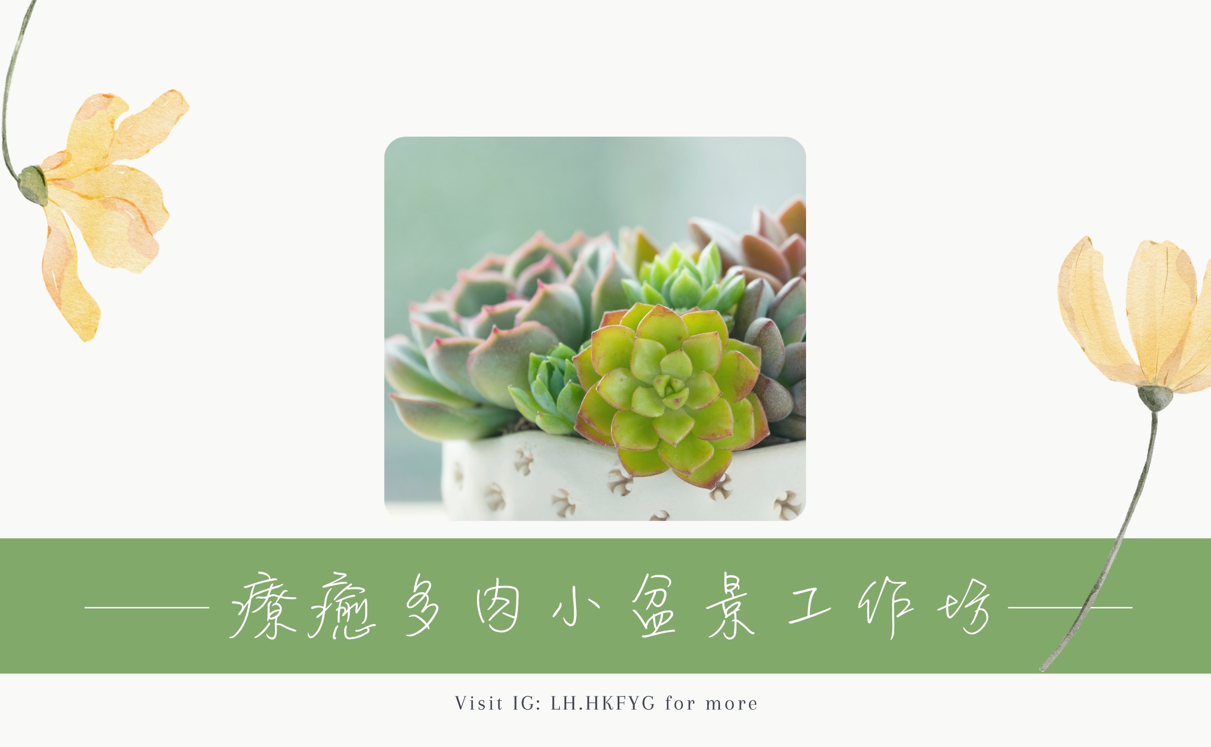 療癒多肉小盆景工作坊