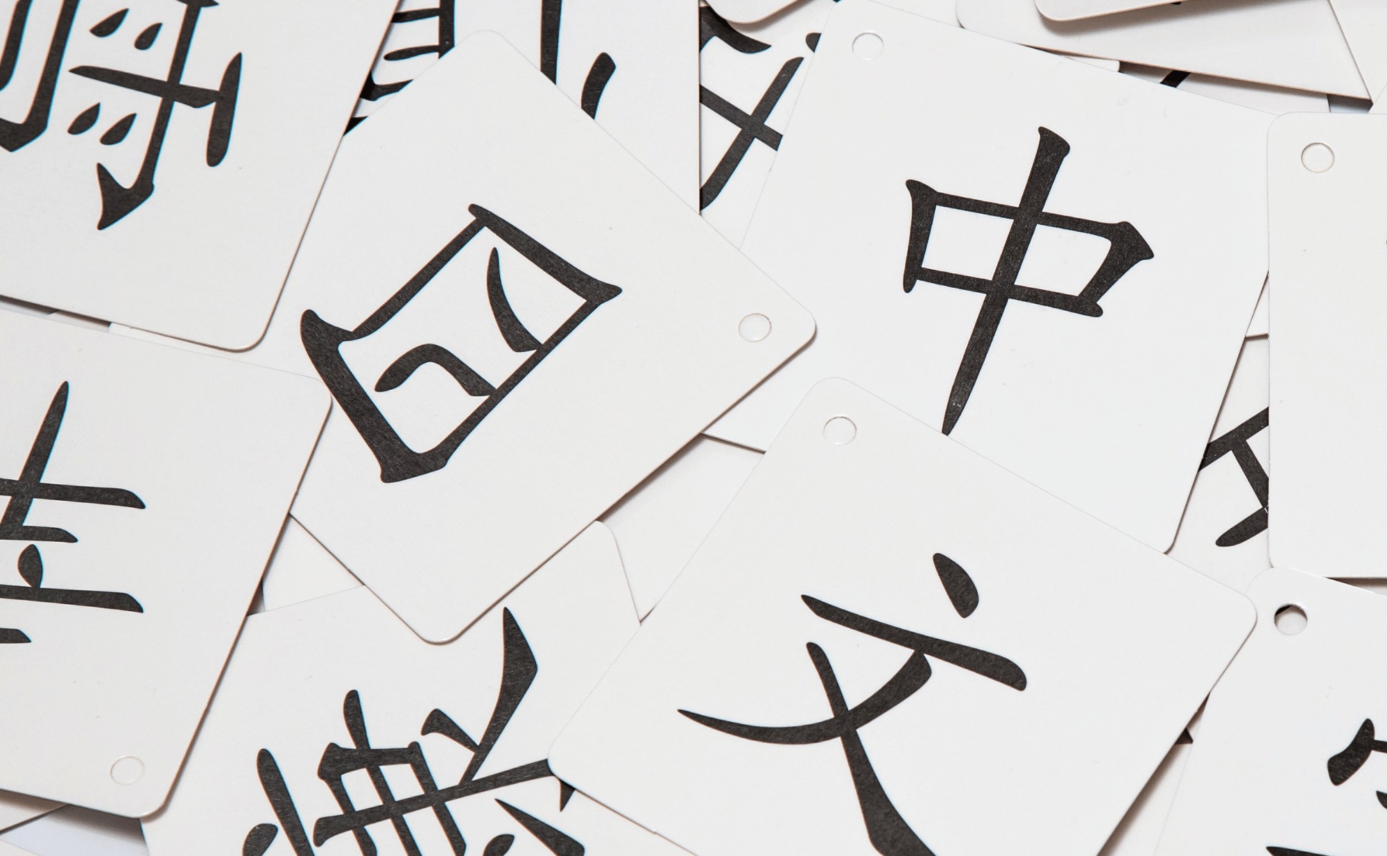 中文綜合訓練班 (升P5-P6)