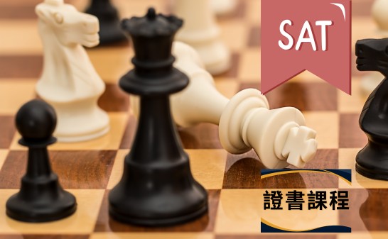 UP ACADEMY 少年國際象棋基礎訓練-六(8-9/2026)