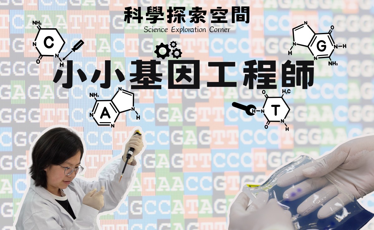 科學探索空間 – 小小基因工程師