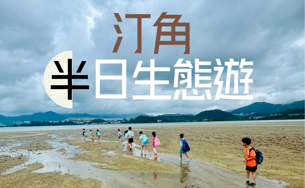 小小職人夢想試做所 – 汀角半日生態遊(31/10/2026)