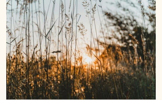 @Love Spot蛻變山路